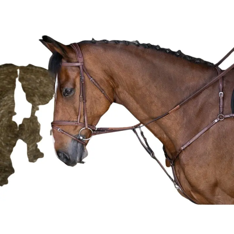 Collar de caza para caballos Hybrid