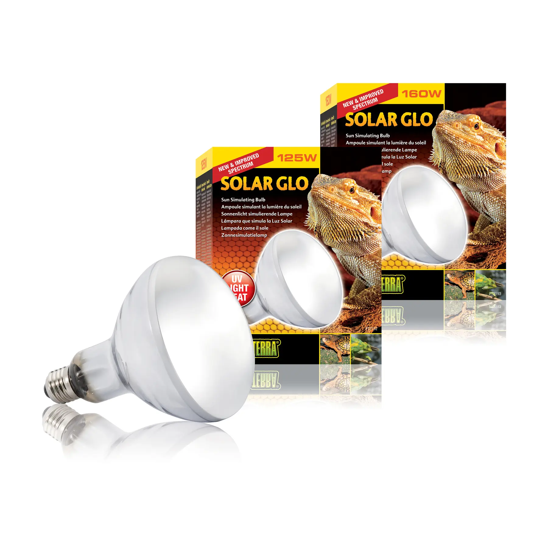 Bombilla Solar Glo