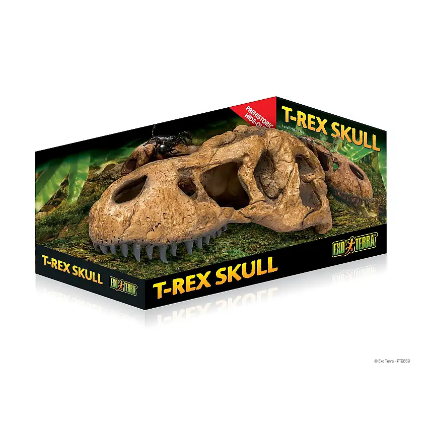 Kit de decoración de refugios fósiles T-Rex Skull