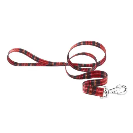 Ferplast Correa Nylon Club G para Perros