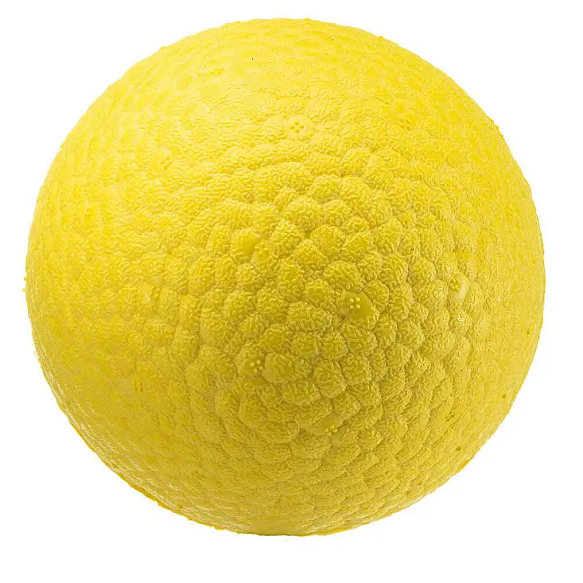 Bola de perro Chewa Boing