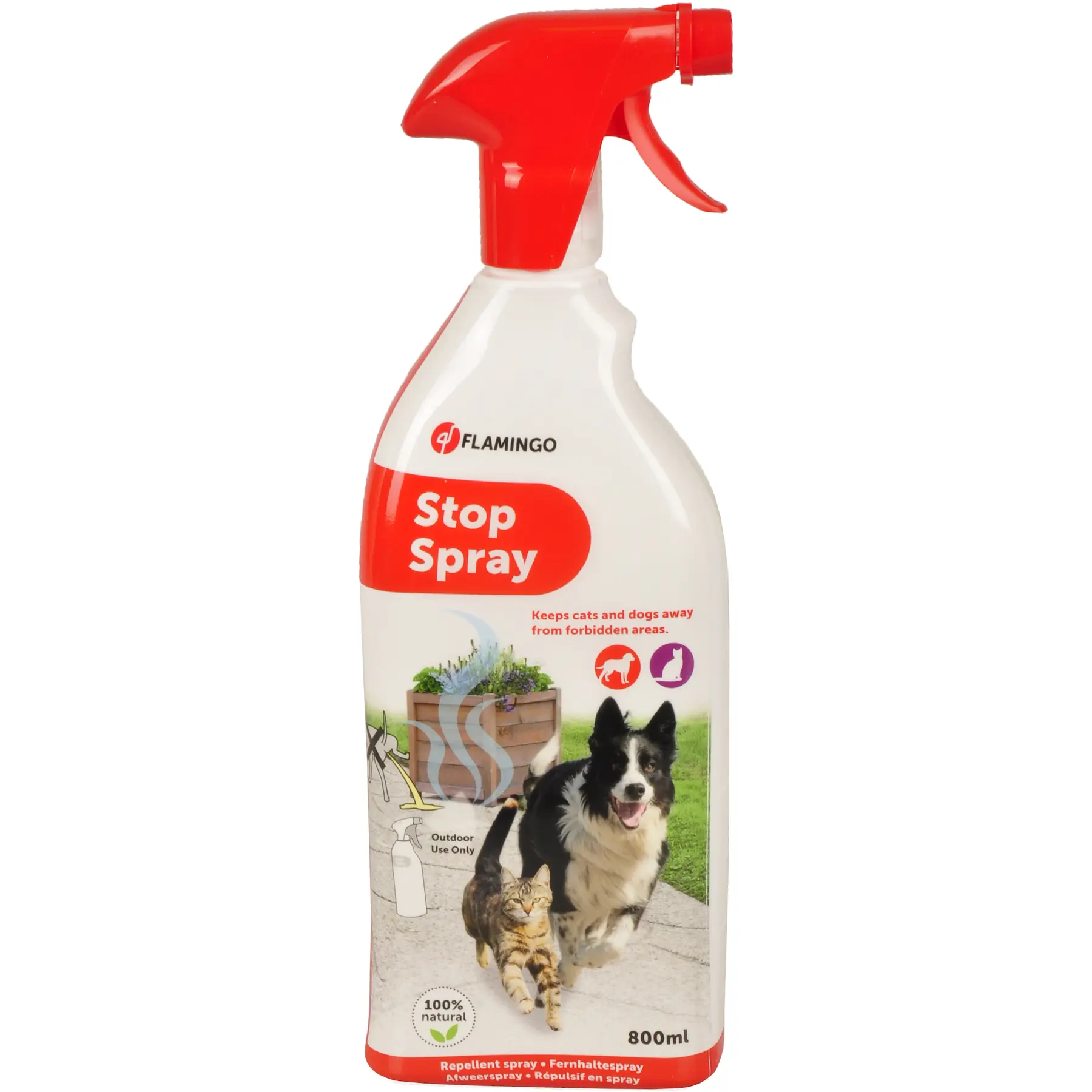 Spray repelente para perros