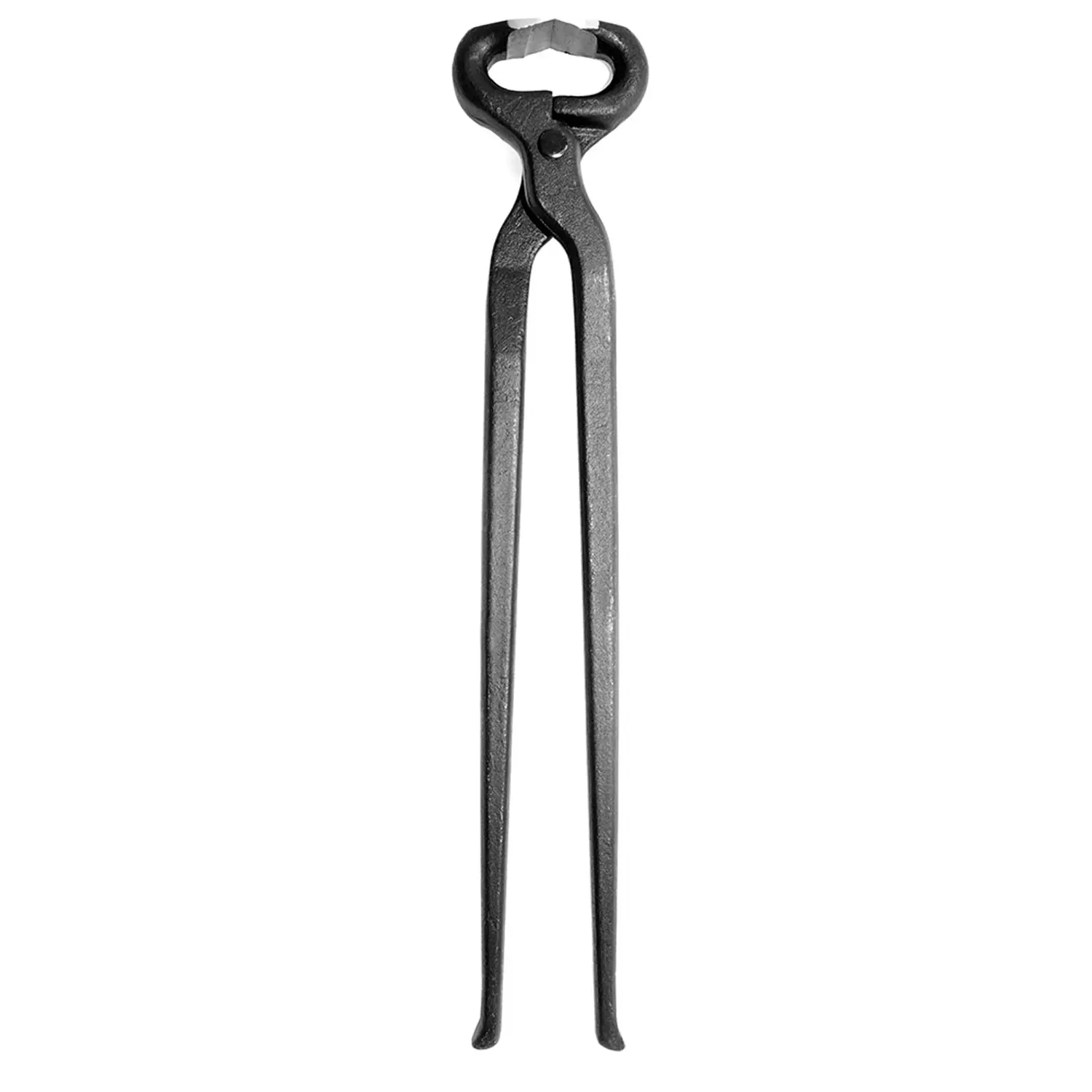Pinza de equitación de maréfile