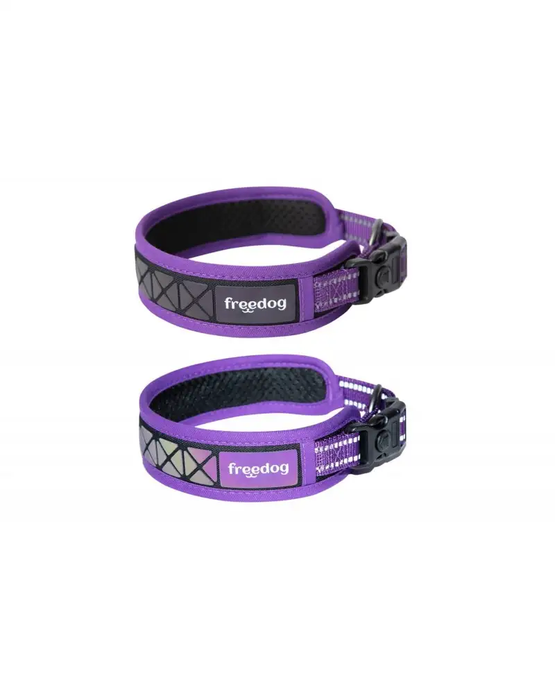 Freedog collar perro Boreal lila