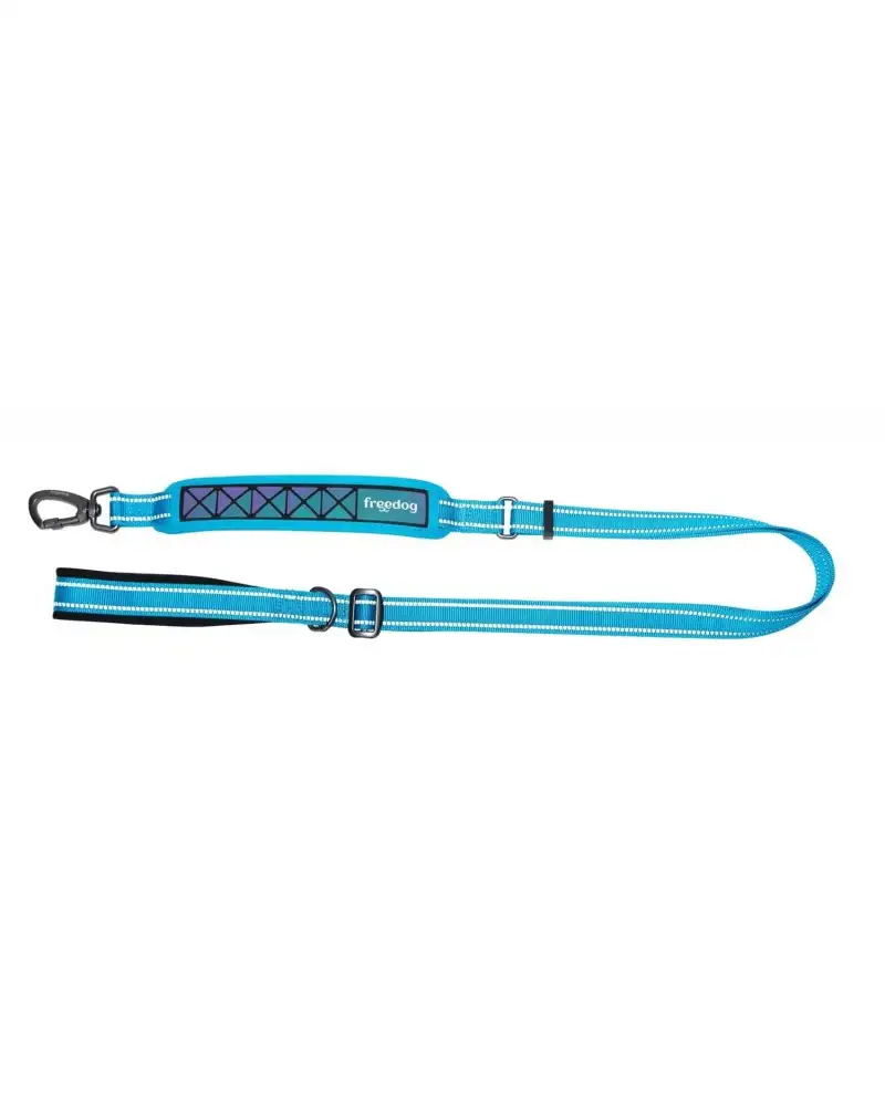 Freedog correa perro Boreal azul