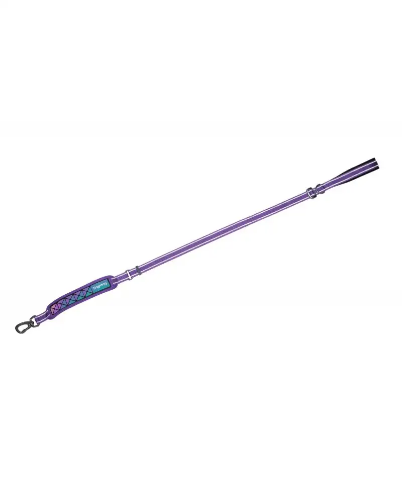 Freedog correa perro Boreal lila