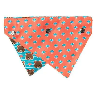 Bandana Fuzz Bear