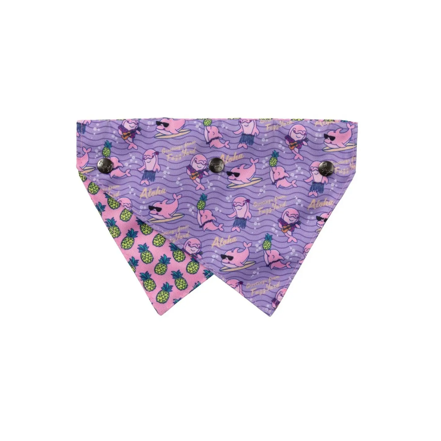Bandana Aloha Dolphins