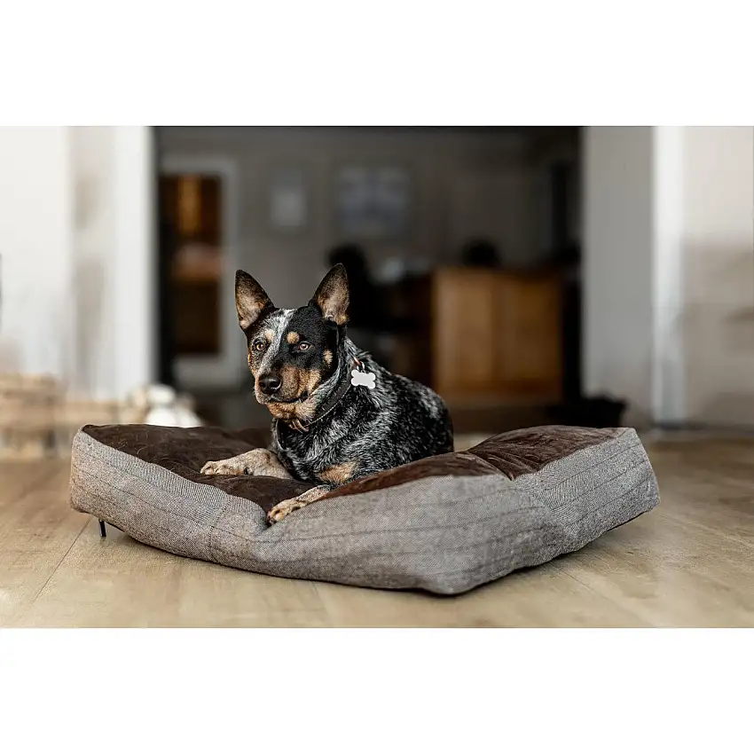 Cojín rectangular para perro