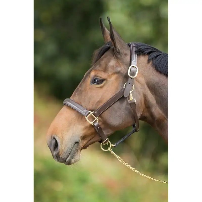Cabestro de cuero forrado para caballos Raised