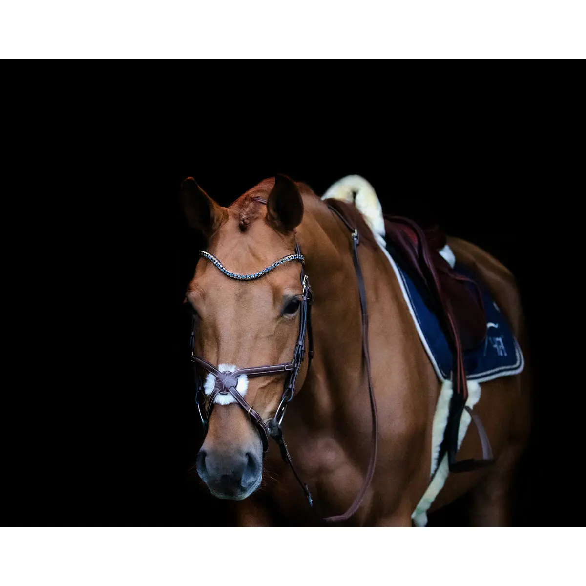 Frontal para caballo V Shape + Strass