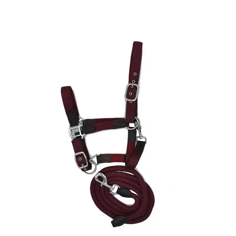 Cabezada para caballos Smart