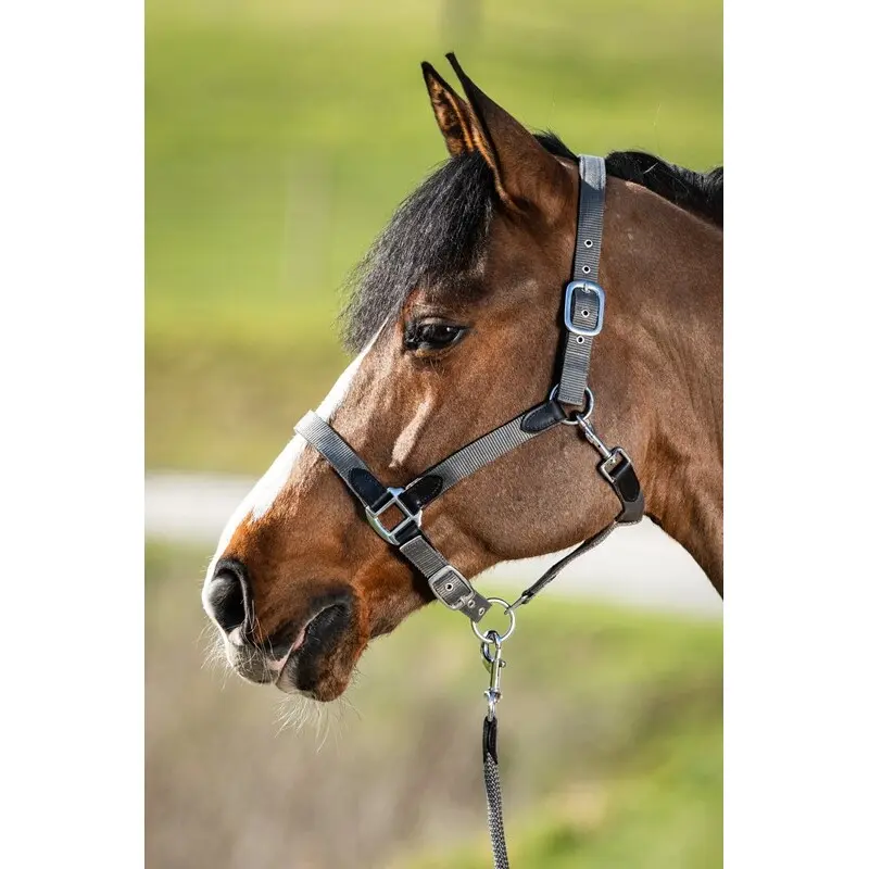 Cabezada Cuadra con cuerda nylon Neoprene Smart