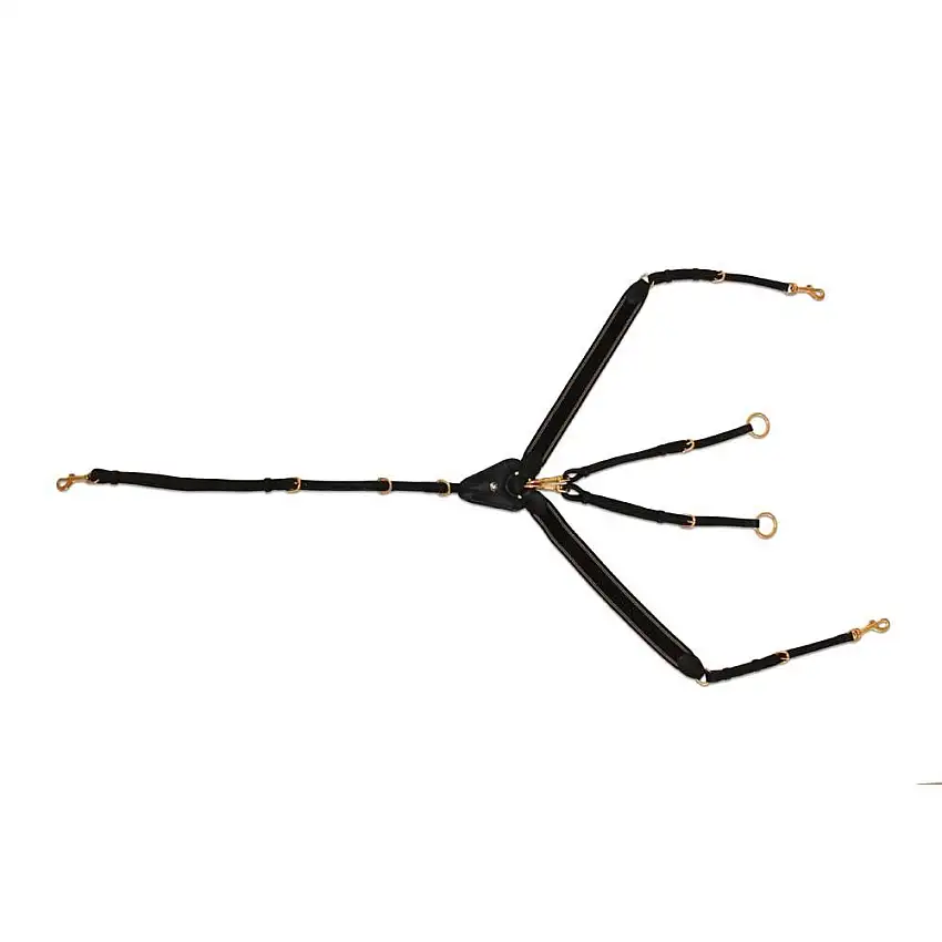 Bricole equitación prestigio