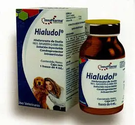 Hialudol 4 mL ( Hialuronato de Sodio )