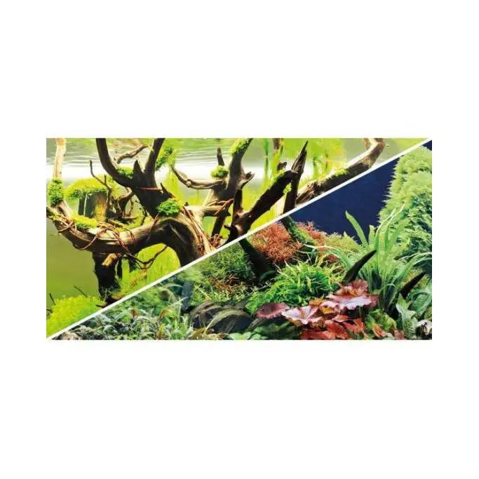 Cinta doble cara Secret/ Wood Island 0,60 cm