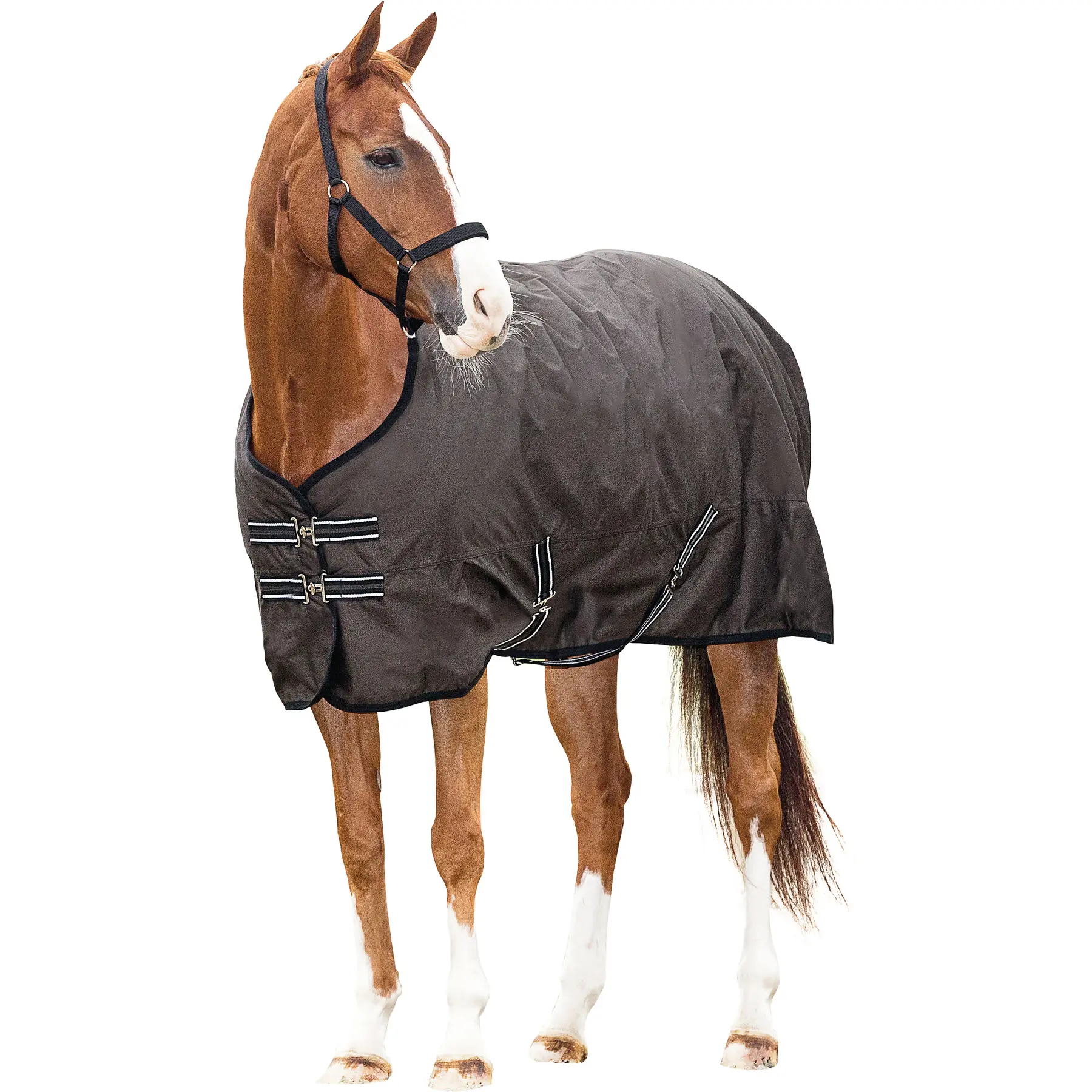 Manta de exterior para caballos 600D 0 g