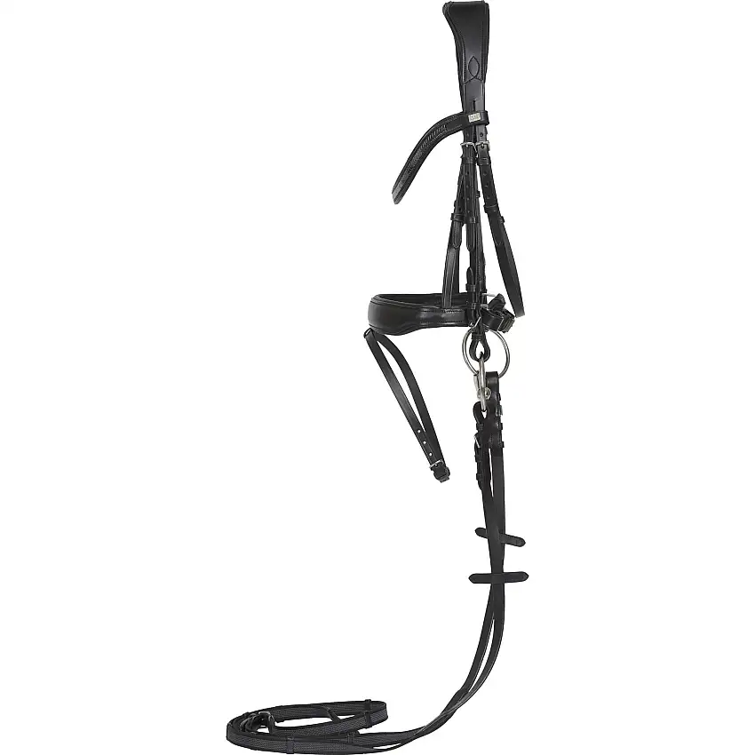 Bridas de montar Ergo Light