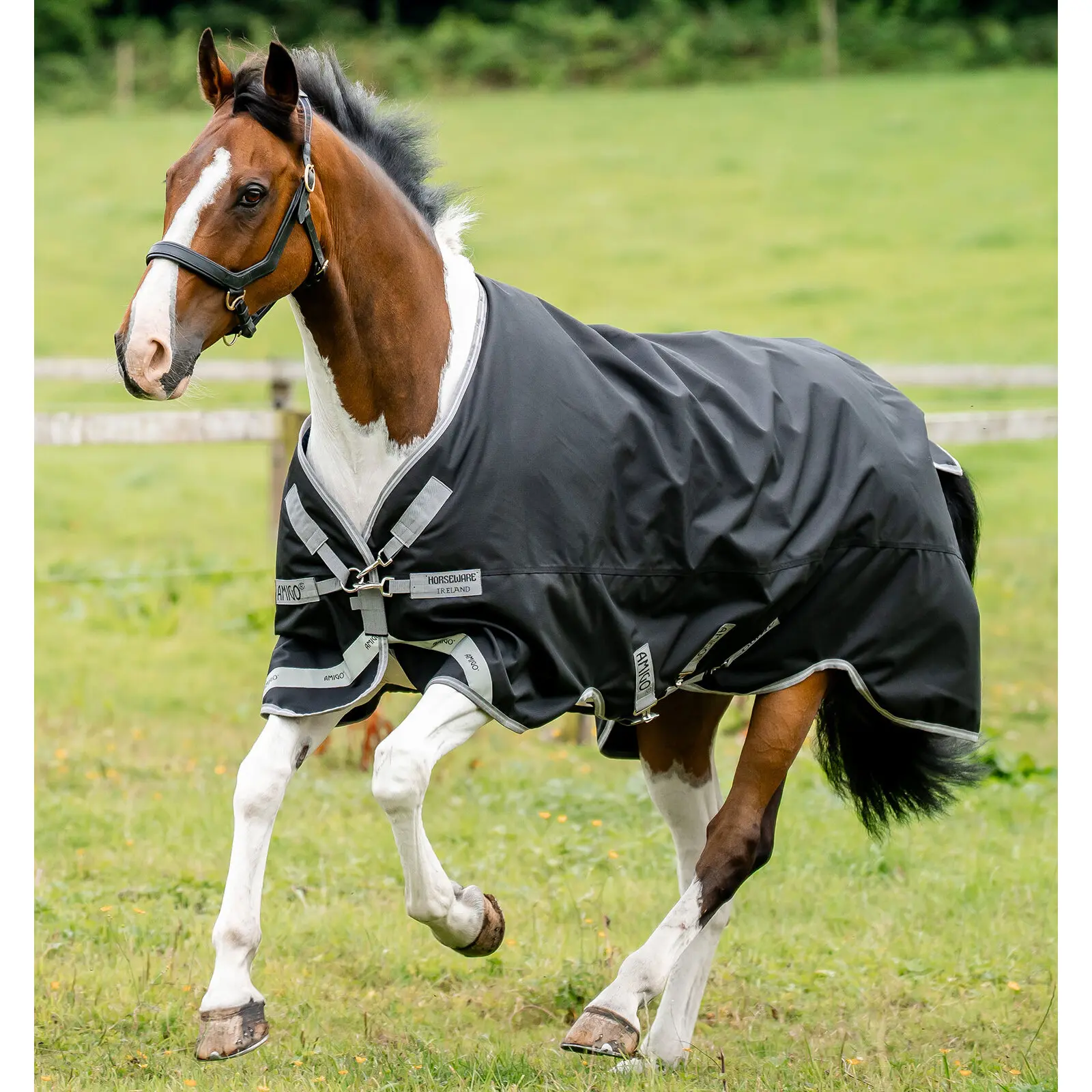 Manta de exterior para caballos Amigo 1200D100g