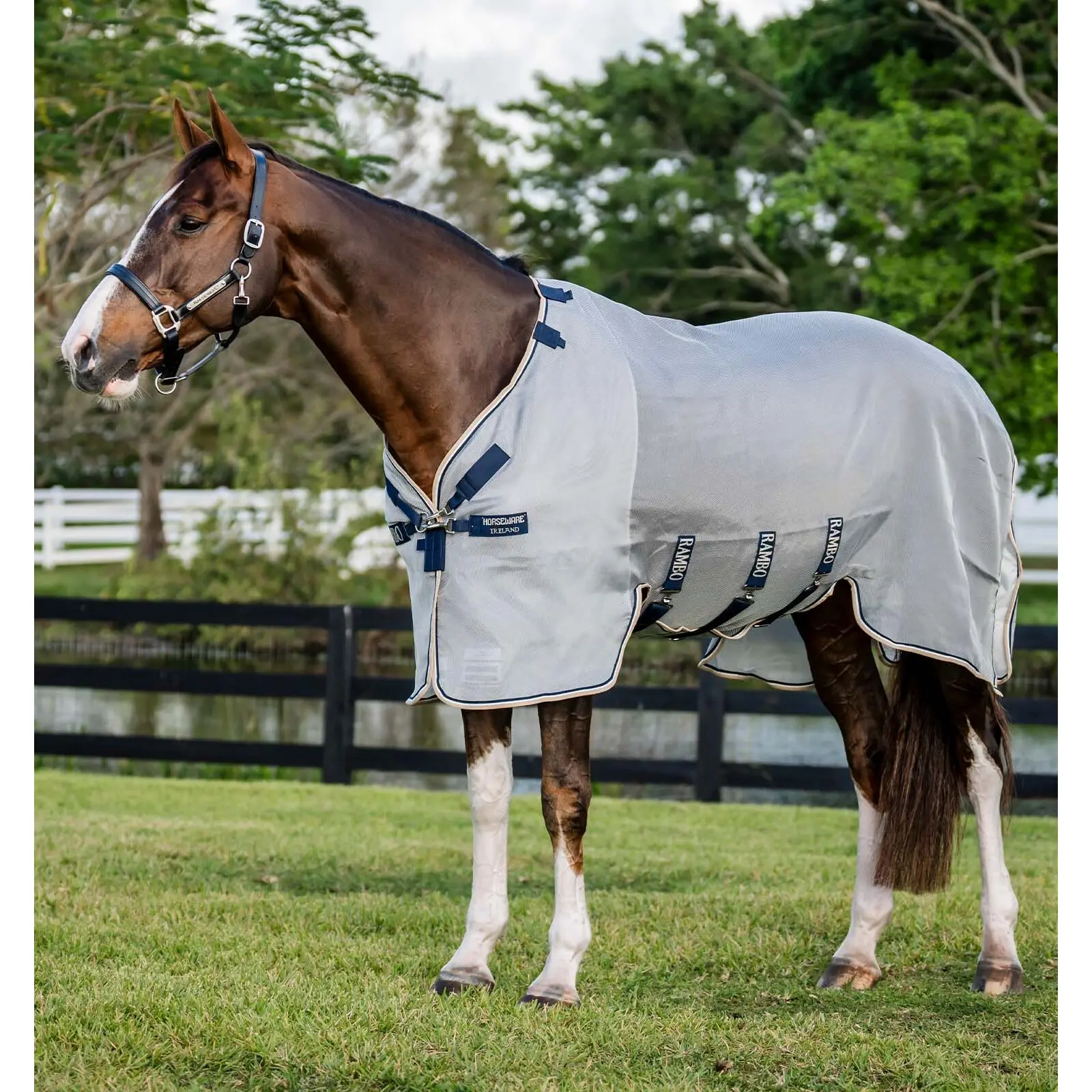 Manta antimoscas para caballos Rambo