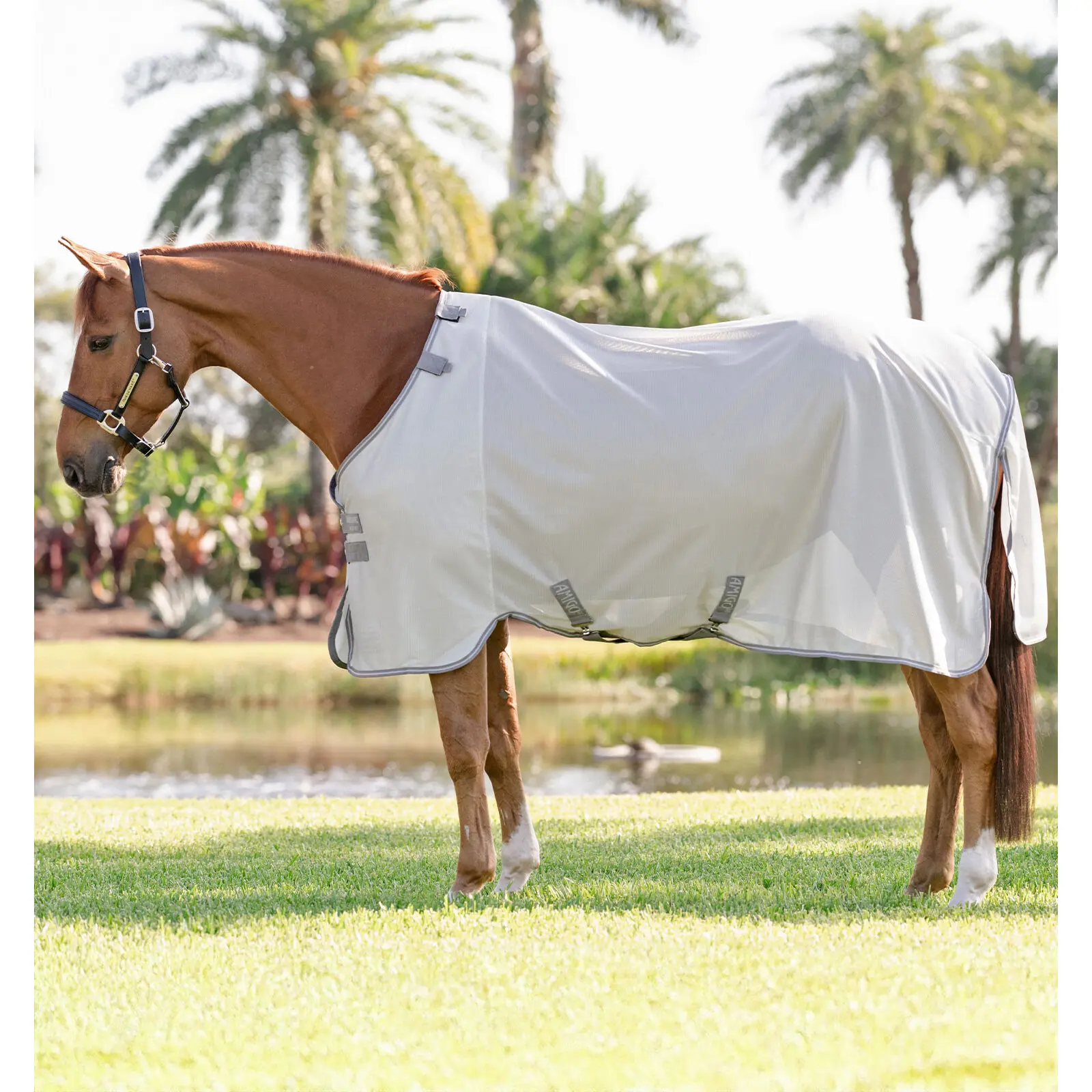 Manta antimoscas para caballos Amigo Bug