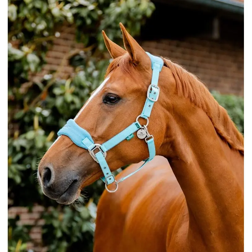 Cabestro de piel para caballo Signature