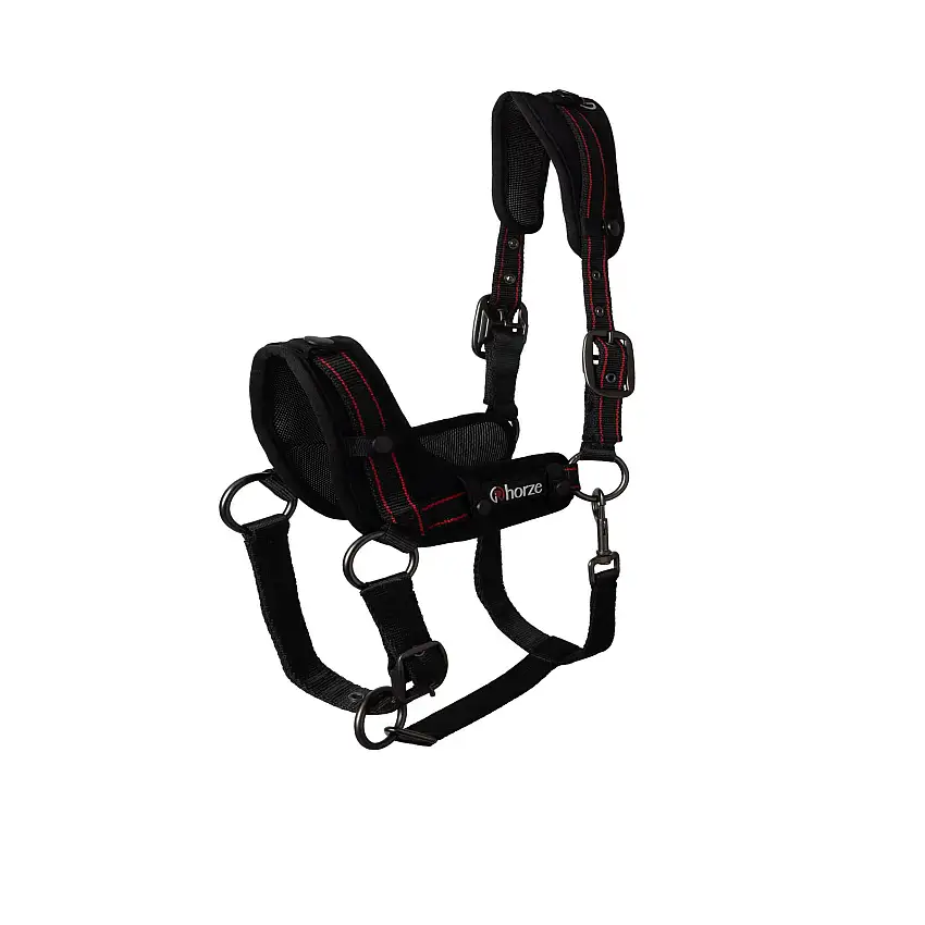 Cabestro para caballos Cairo