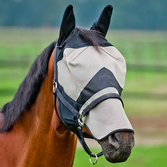 Orejeras equitacións con protección contra las moscas