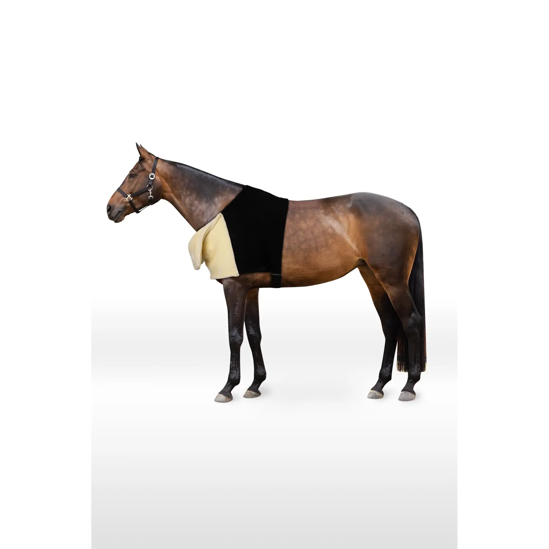 Protector de hombros para caballos Confort