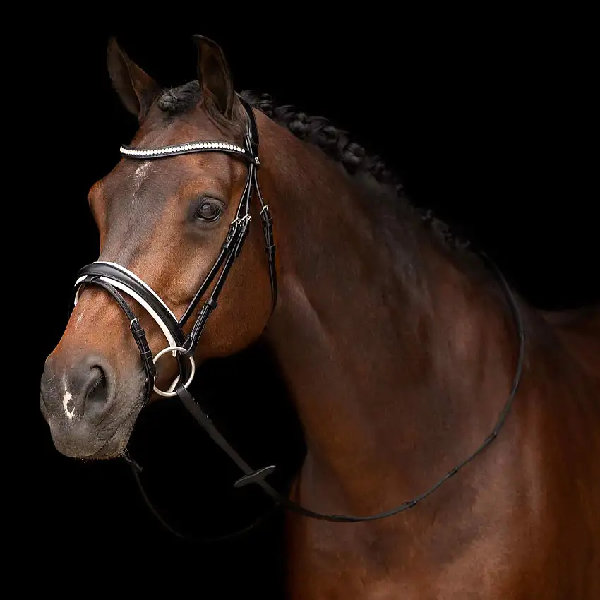 Bridas de montar Legacy deluxe