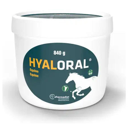 Hyaloral Equino