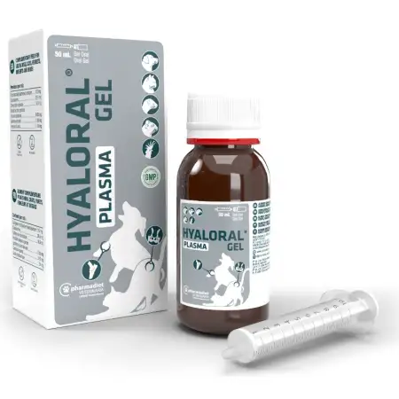 Hyaloral Plasma Gel