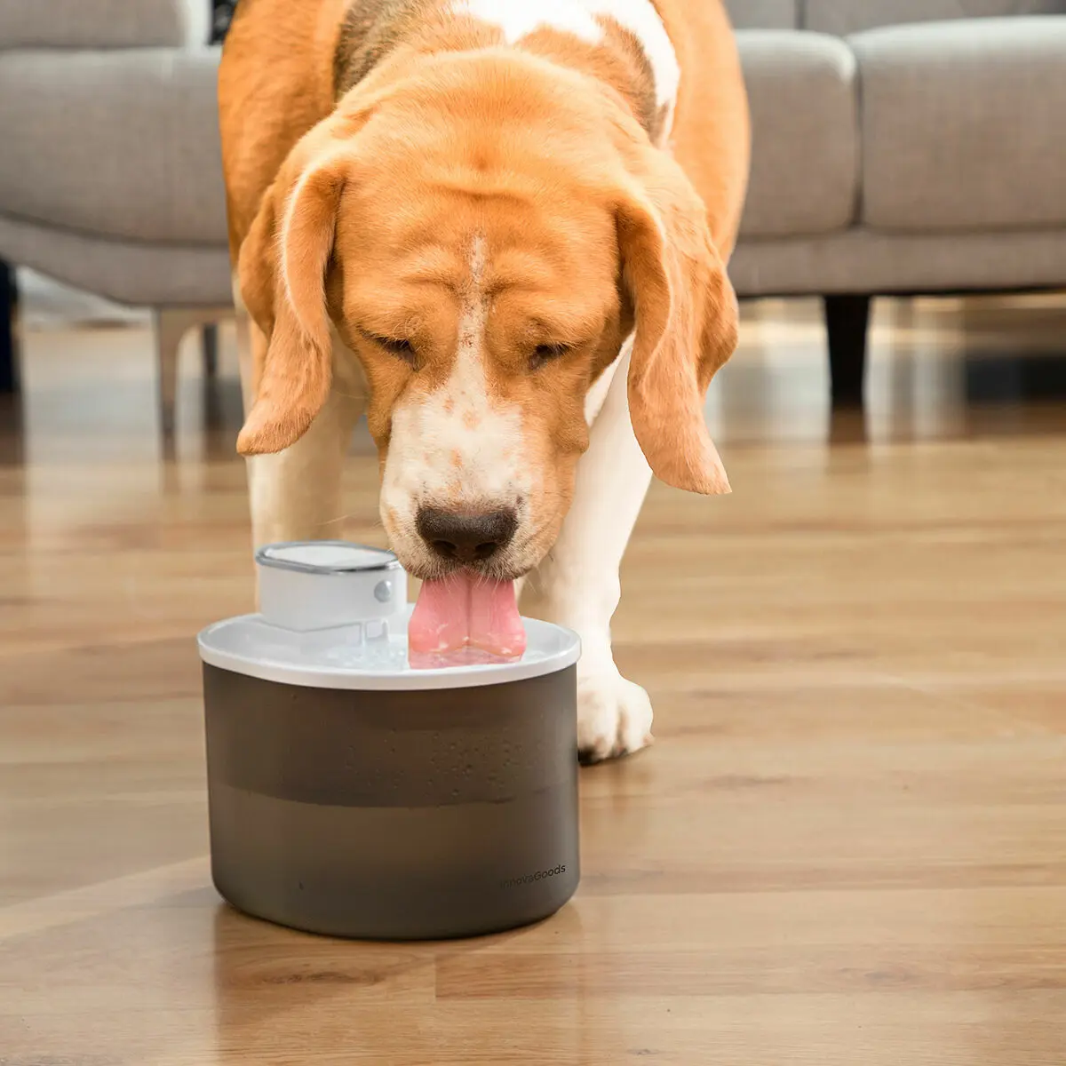 Fuente de agua recargable para gatos con detector Refopet