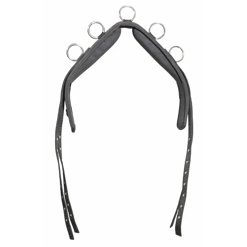 Rienda larga de nylon para caballos Lunging