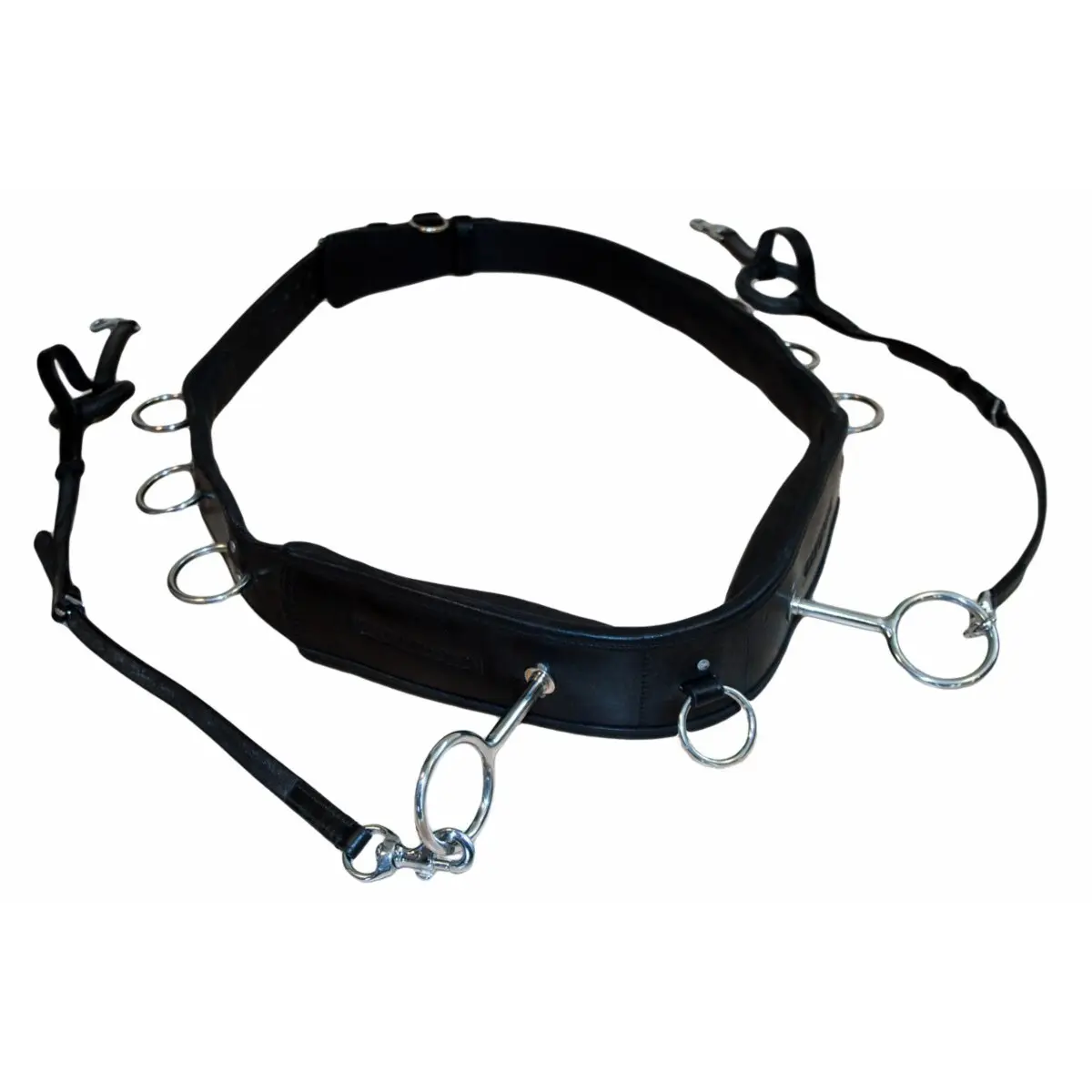Rienda larga para caballo Lunging