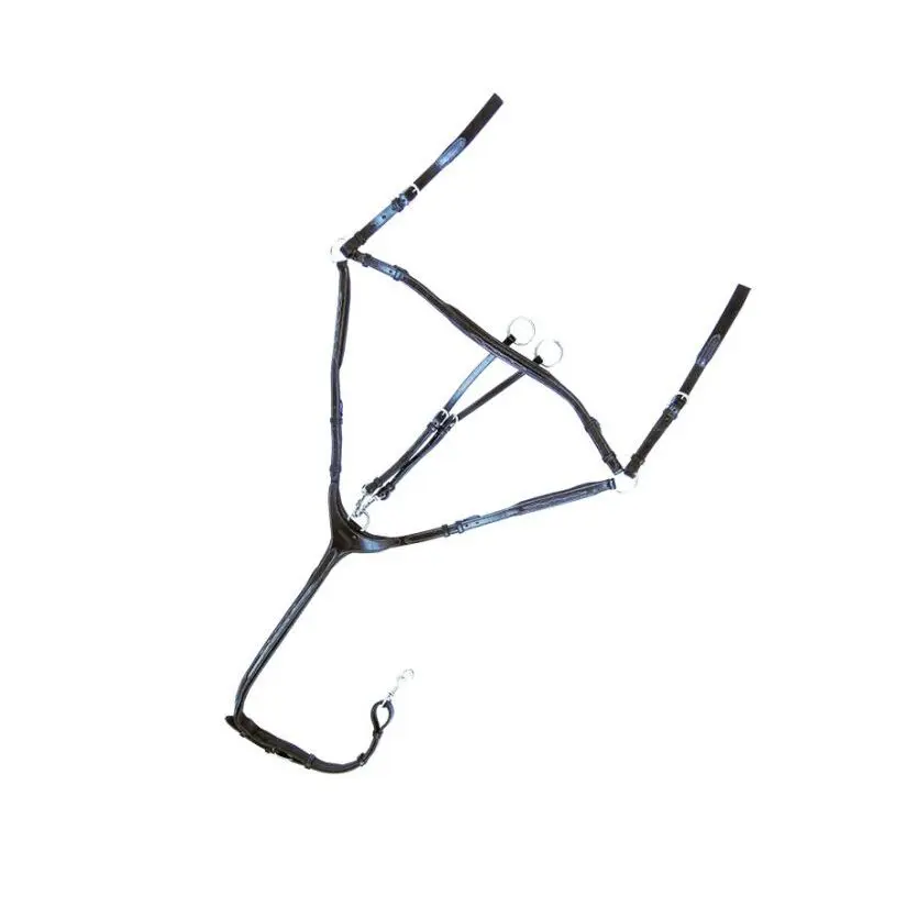 Collar de caza de 3 puntos Diandro