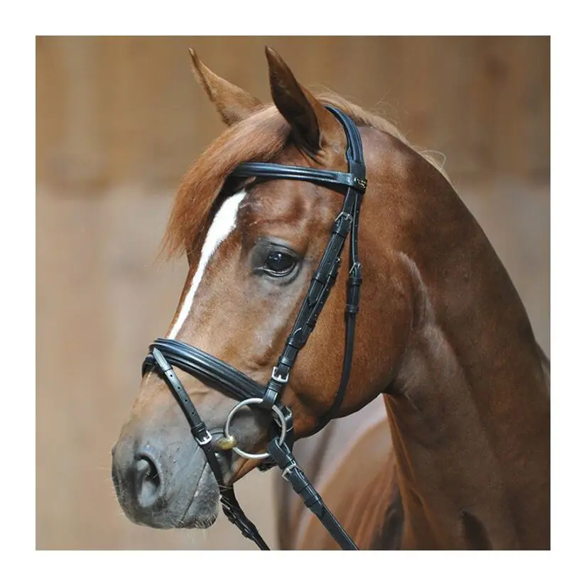 Bridas de equitación Ravenna
