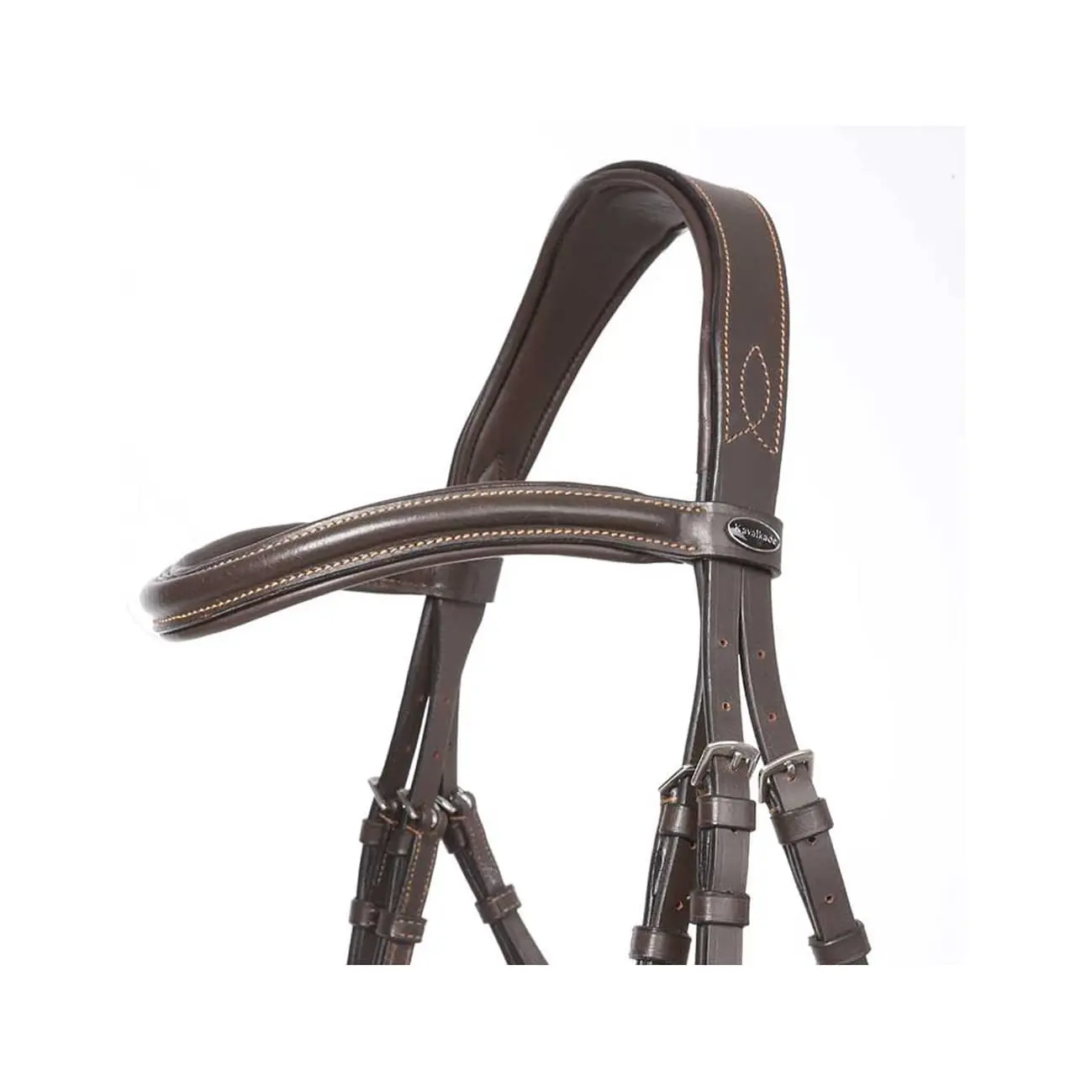 Bridas para caballos Ivy