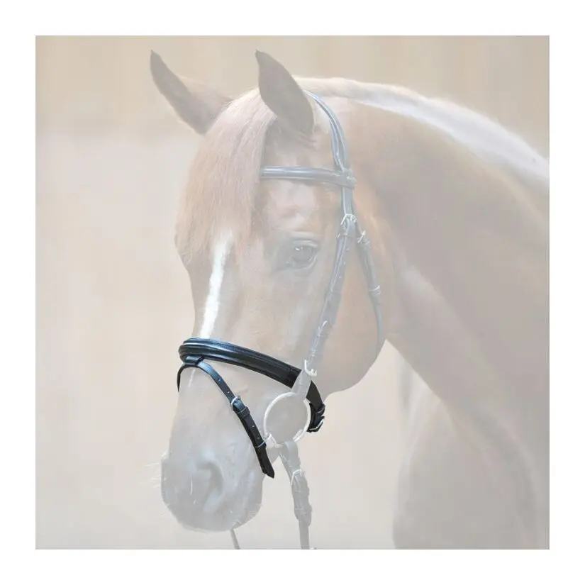Banda nasal Flash