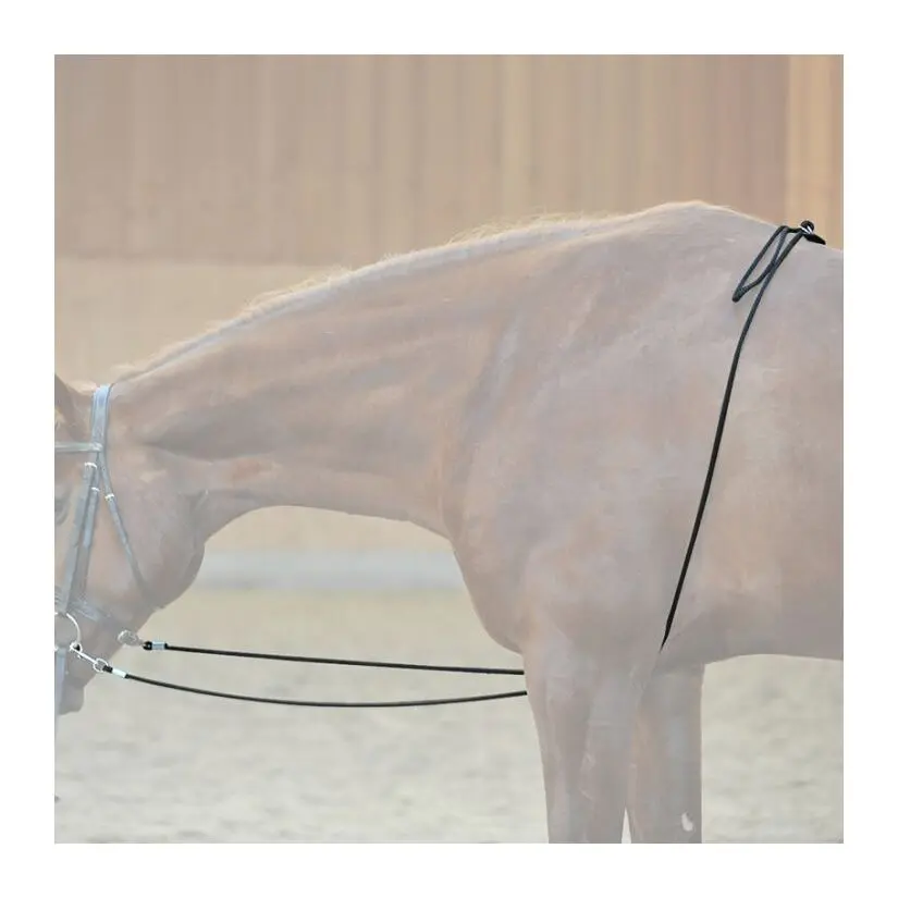 Rienda de caballo HO
