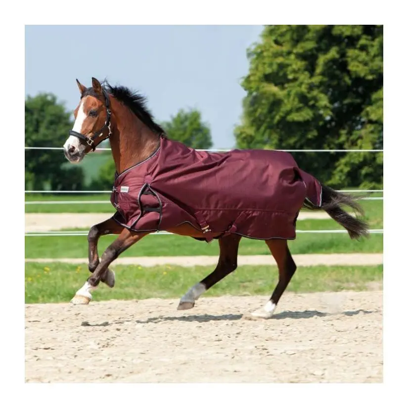 Manta para caballos de exterior Alaska IV 300 g
