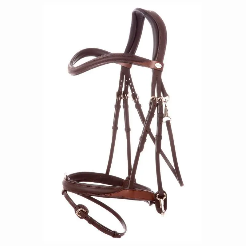 Bridas para caballos Everyday