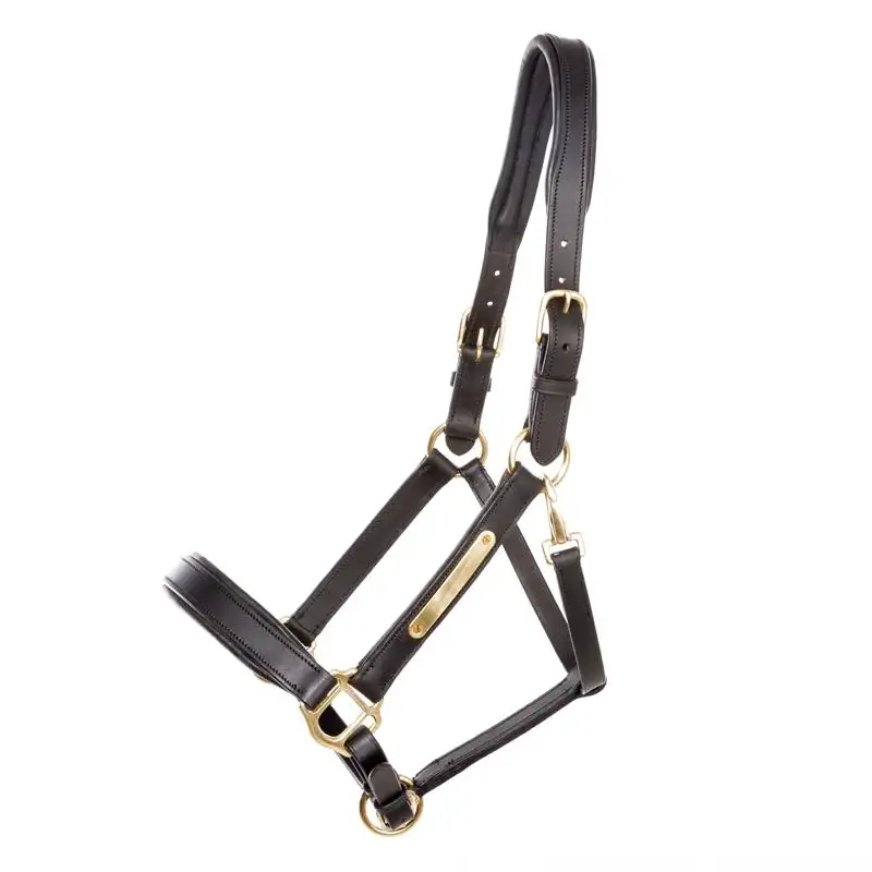 Cabezada para caballo Cinta