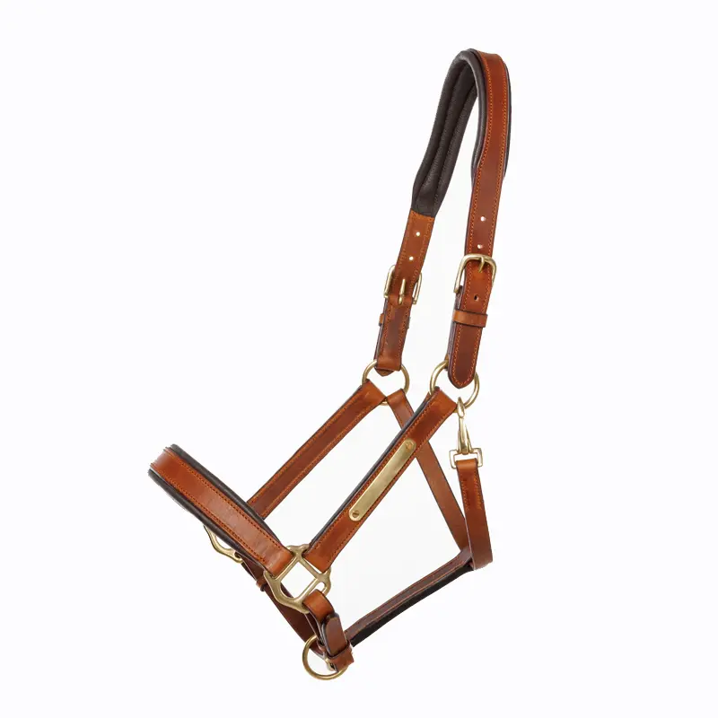 Cabestro de cuero para caballo Cinta