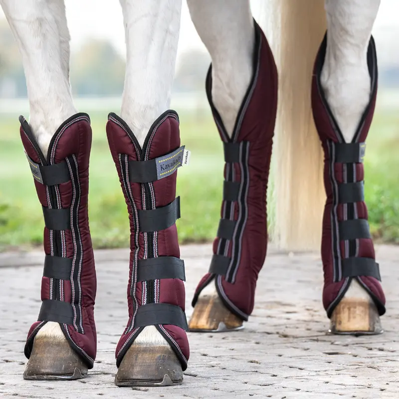 Botas de transporte para caballos (x4)