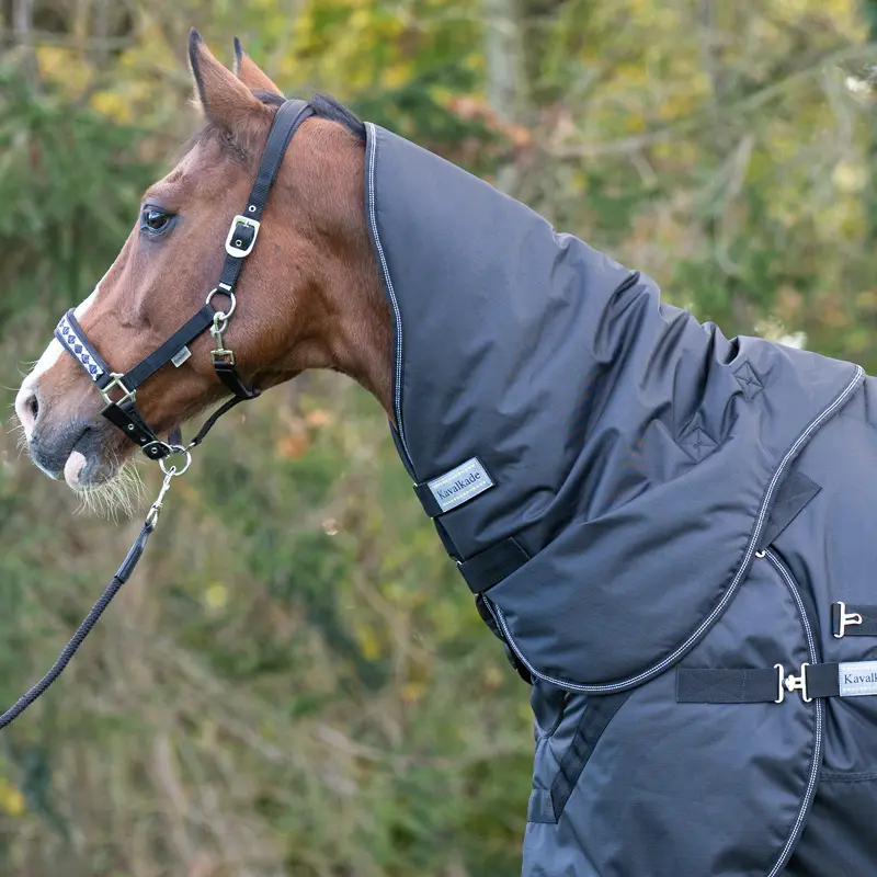 Cubre cuello para caballo Halifax 50g
