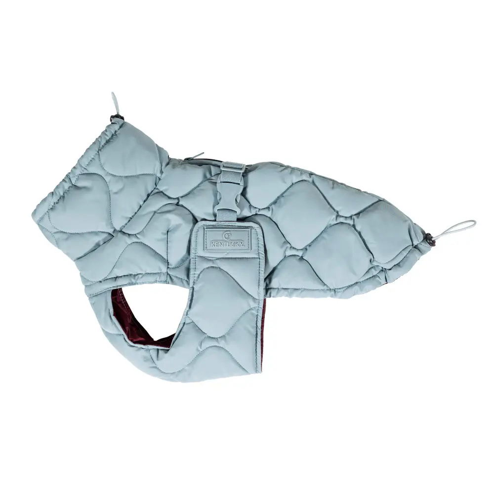Abrigo para perro Kentucky Pina
