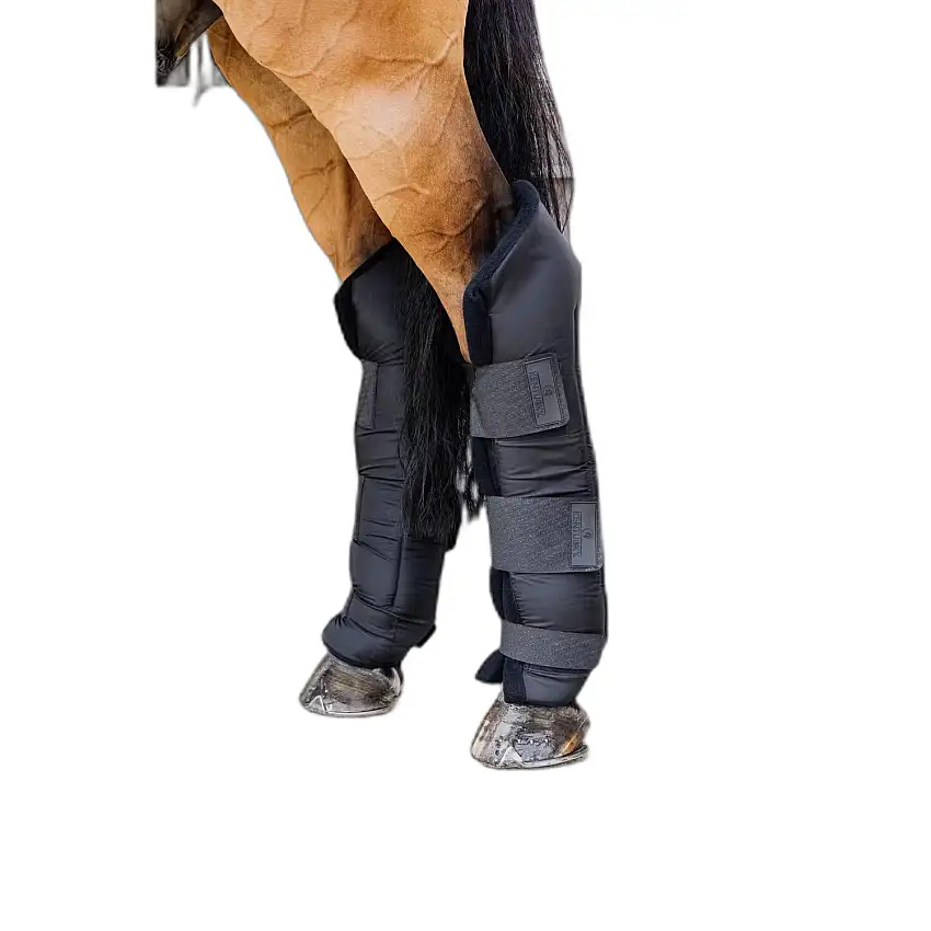Botas de caballo con cierre trasero Kentucky Protect Long Hing