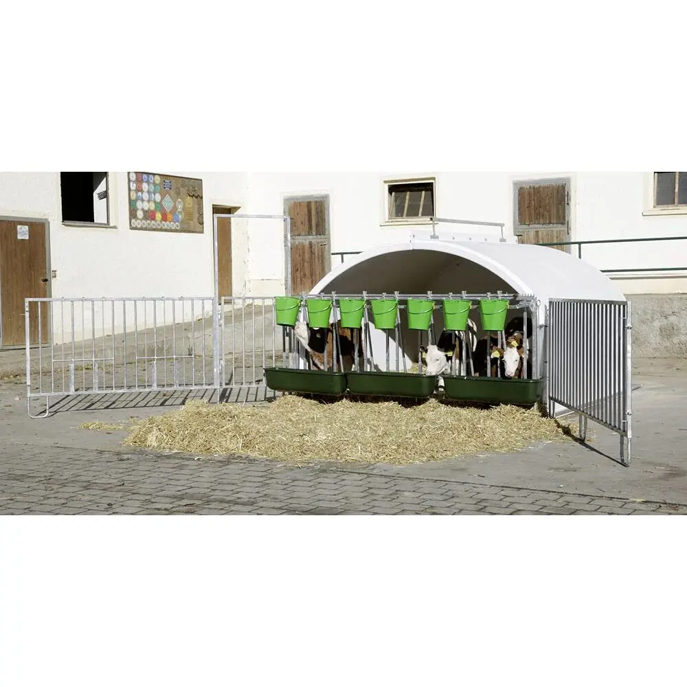 Nicho de caja cincado Premium