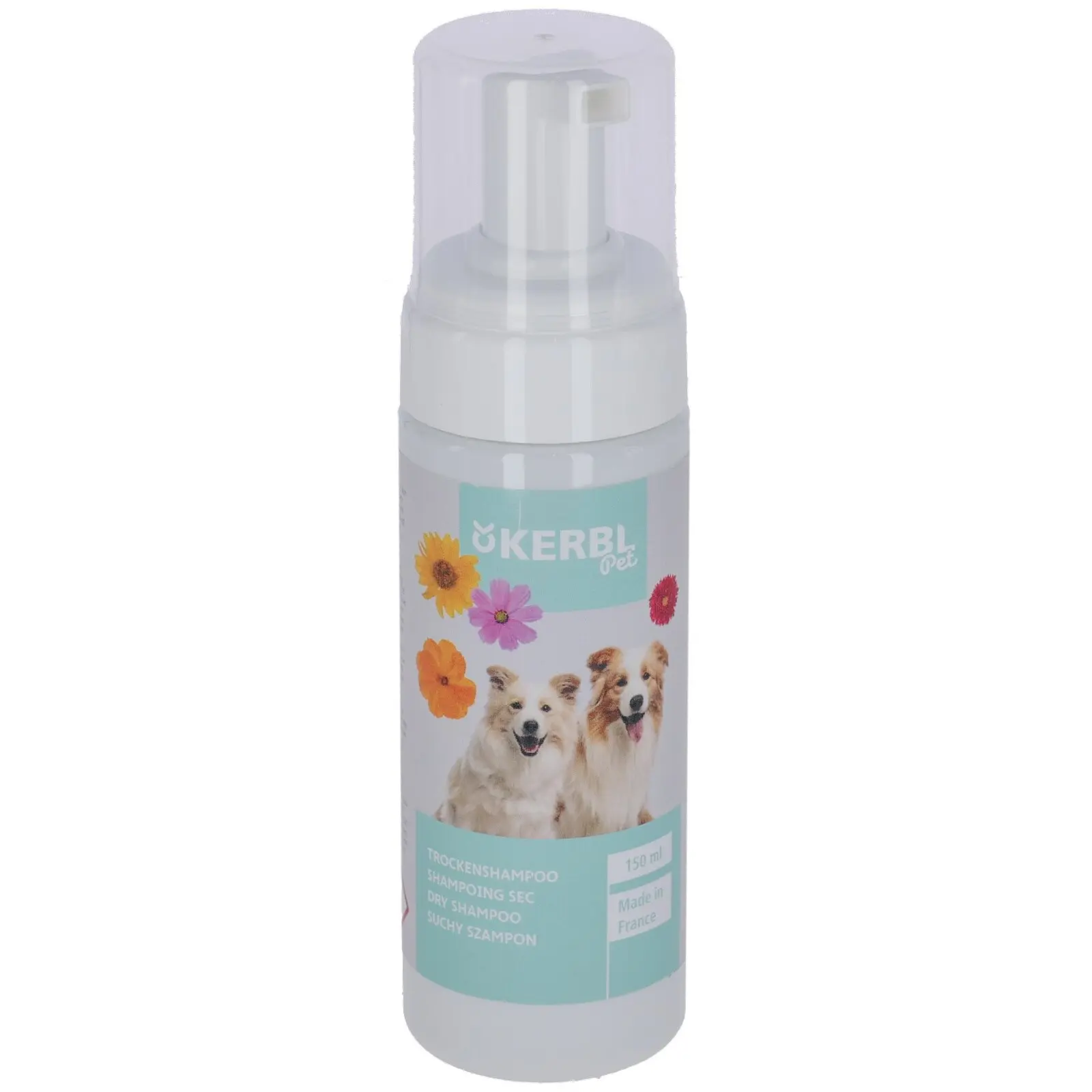 Champú seco para perros